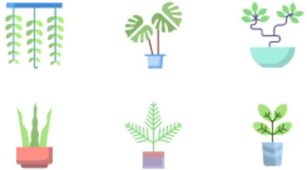 plant icon_other