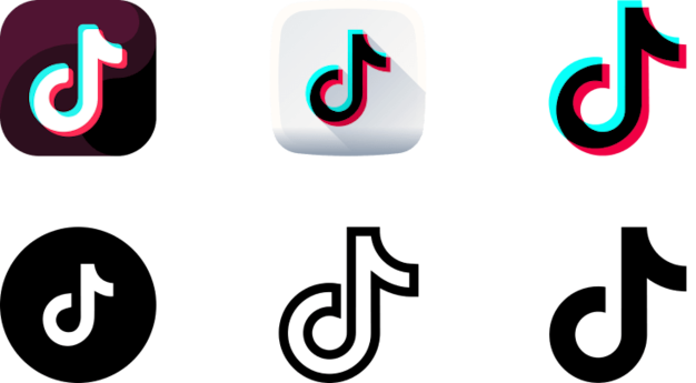 tiktok icon_other