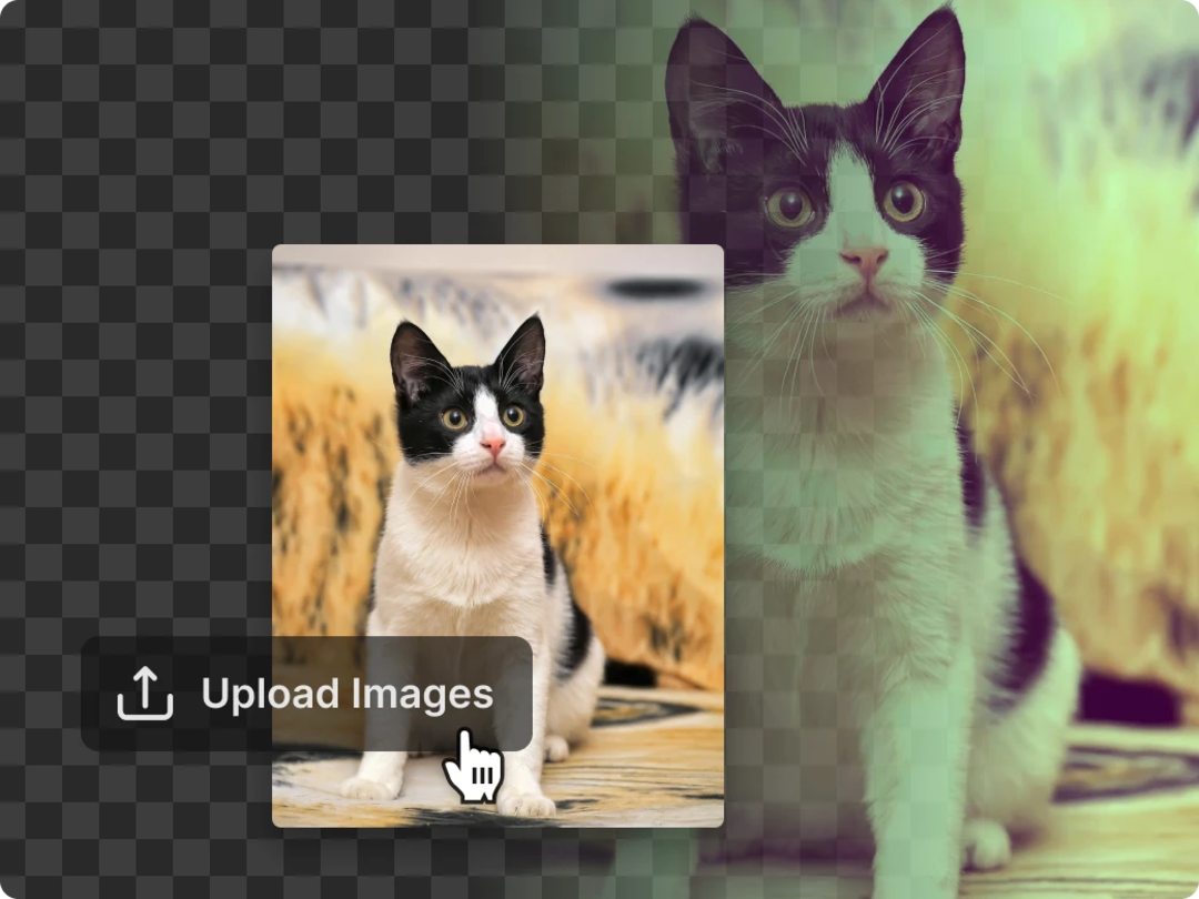 วิธีการเพิ่มฟิลเตอร์ให้กับรูปภาพของคุณ