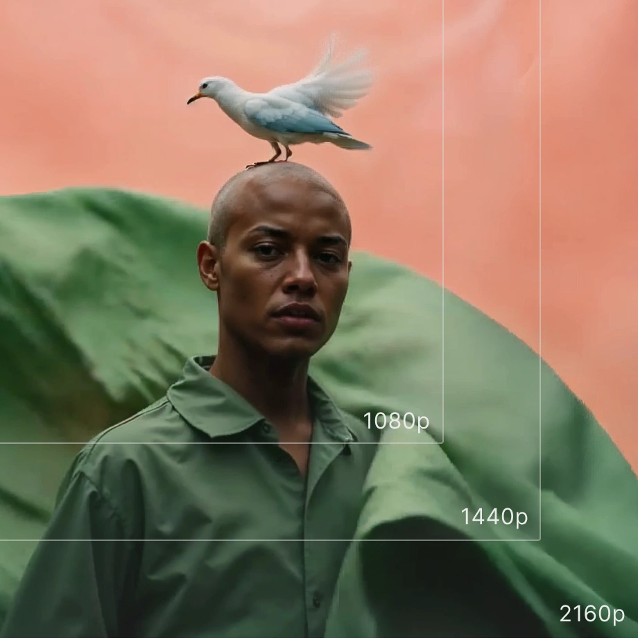 Pasa vídeos a Ultra HD 4K al instante