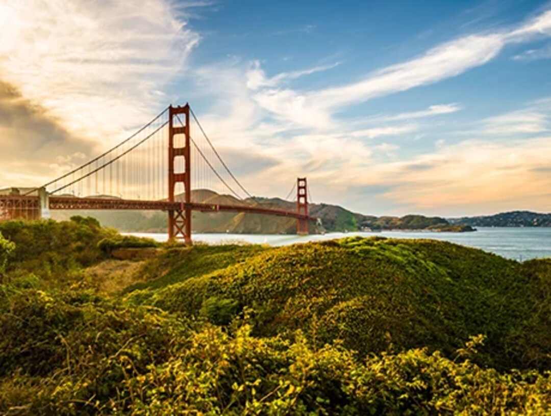 San Francisco comes in as the 3rd U.S. city with the most green spaces